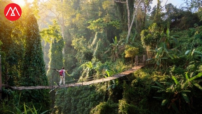 Nature travel