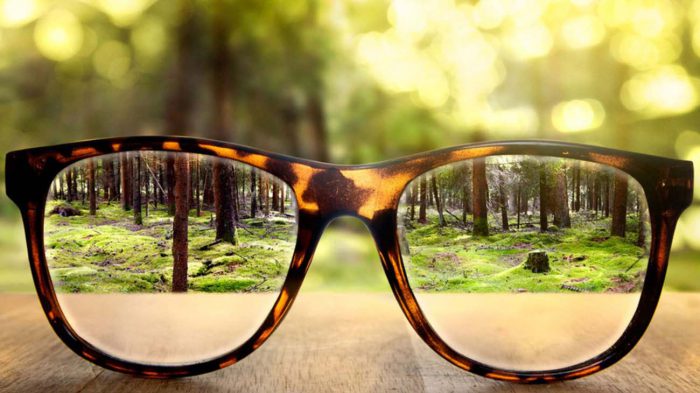 Vision