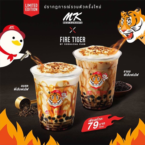 MKxFiretiger 02