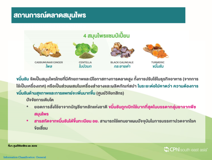 Thai Herb -06