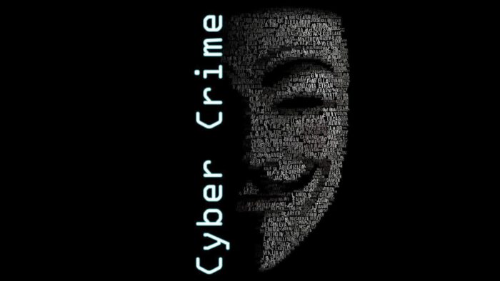 cyber-crime