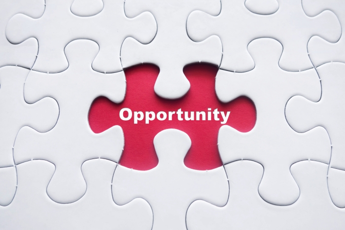 Opportunities
