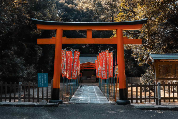 Japan Travel