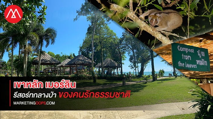 เปิดโลกธรรมชาติ ที่ โรงแรมเขาหลัก เมอร์ลิน ผ่านทายาทรุ่น 3 สู่โมเดิร์นรีสอร์ตกลางป่าของคนรักธรรมชาติ ที่เปิดให้นักท่องเที่ยวพักผ่อนร่วมกับสัตว์กว่า 114 สายพันธุ์