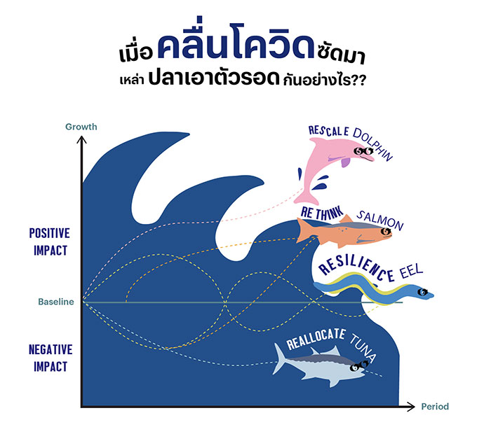 ว่ายฝ่าวิกฤติ: เมื่อคลื่นยักษ์ถาโถม เหล่าปลาในมหาสมุทรเอาตัวรอดกันอย่างไร