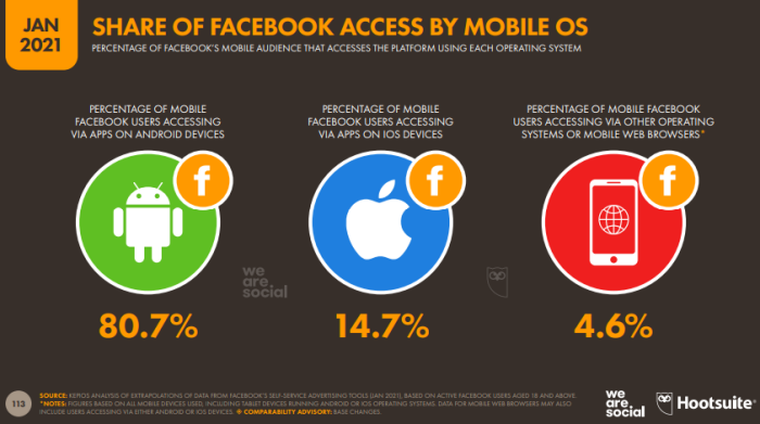 Digital 2021 Global Overview Report-FB-01