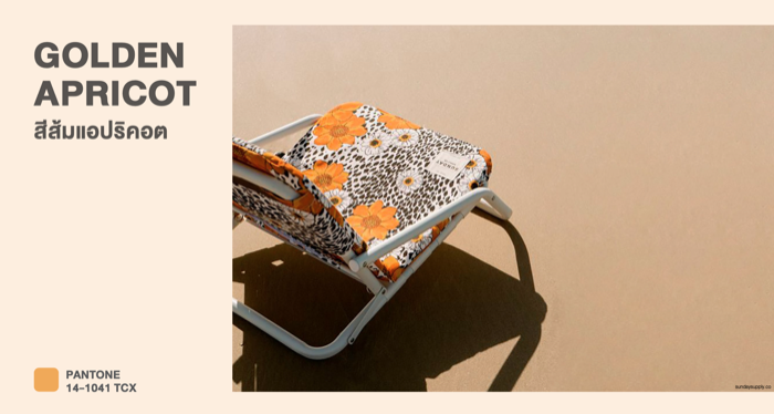 Color Trends 2023-Golden Apricot