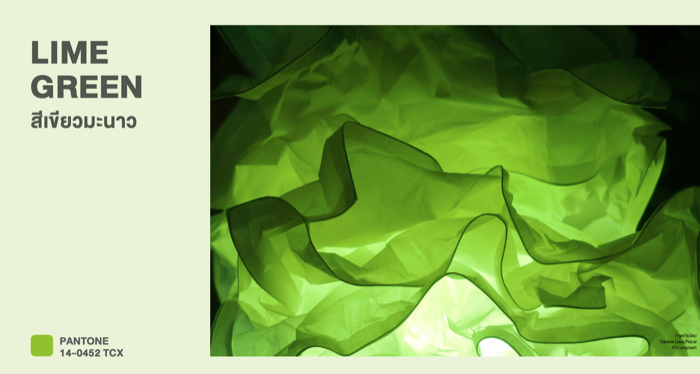 Color Trends 2023-Lime Green