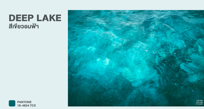 Color Trends 2023-Depp Lake