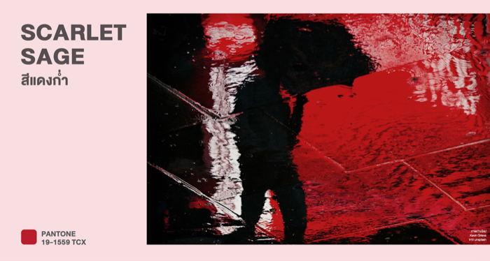 Color Trends 2023-Scarlet Sage