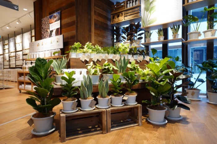 MUJI The EmQuartier