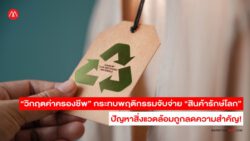 Inflation effect sustainable products