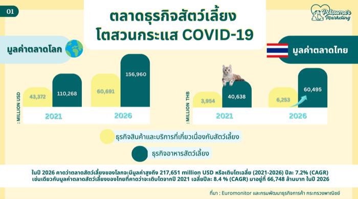 Petsumer Marketing