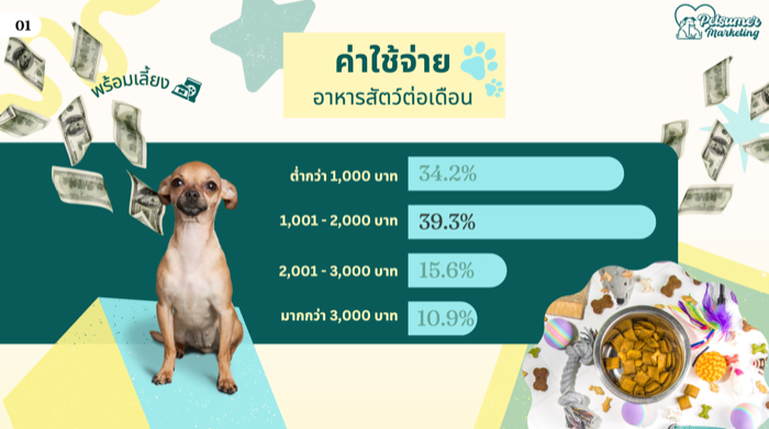 Petsumer Marketing