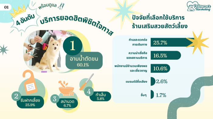 Petsumer Marketing