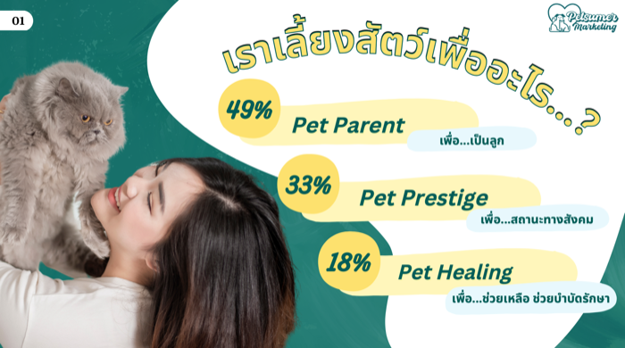 Petsumer Marketing