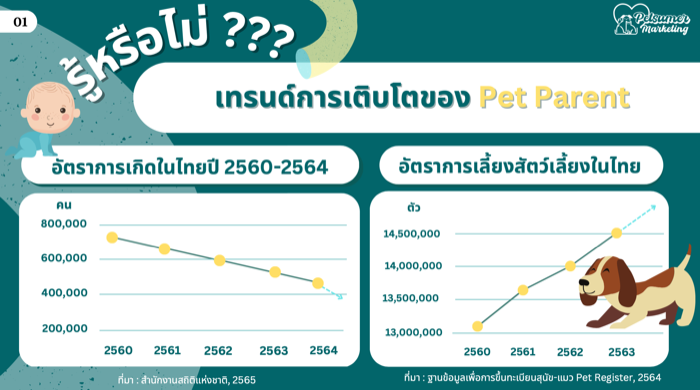 Petsumer Marketing
