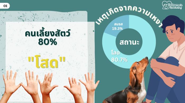 Petsumer Marketing
