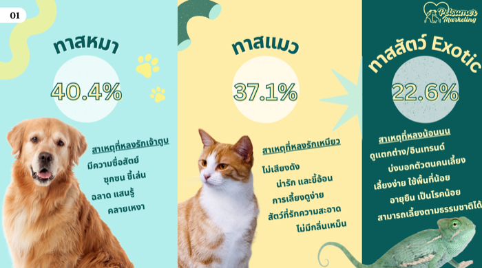 Petsumer Marketing