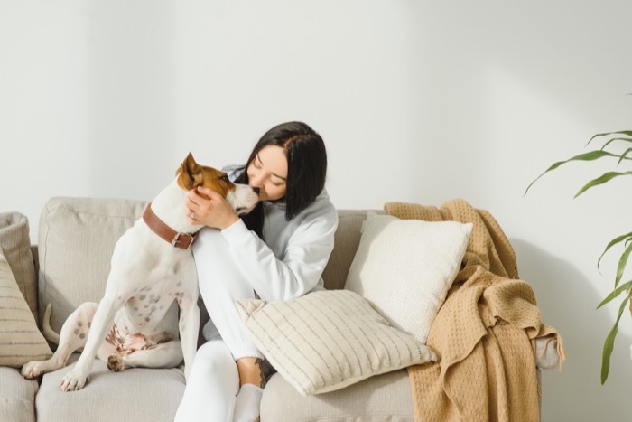 Petsumer Marketing