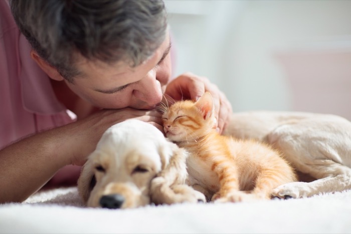 Petsumer Marketing