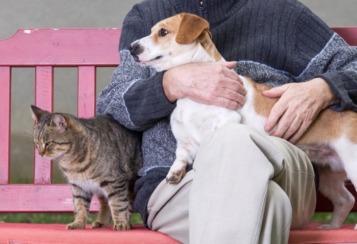 Pet Humenization-Petconomy