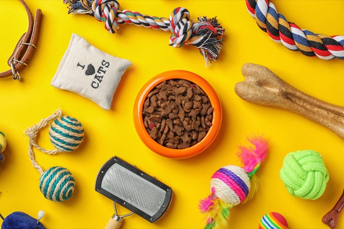 Pet Humenization-Petconomy